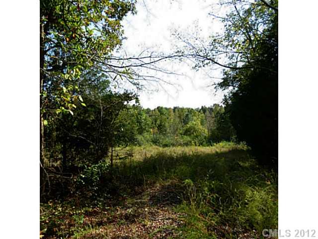 4.8-ac Sutton Spring Road York, SC 29745 - Photo 11 of 14