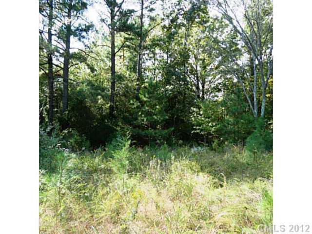 4.8-ac Sutton Spring Road York, SC 29745 - Photo 12 of 14