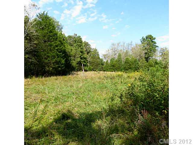 4.8-ac Sutton Spring Road York, SC 29745 - Photo 13 of 14