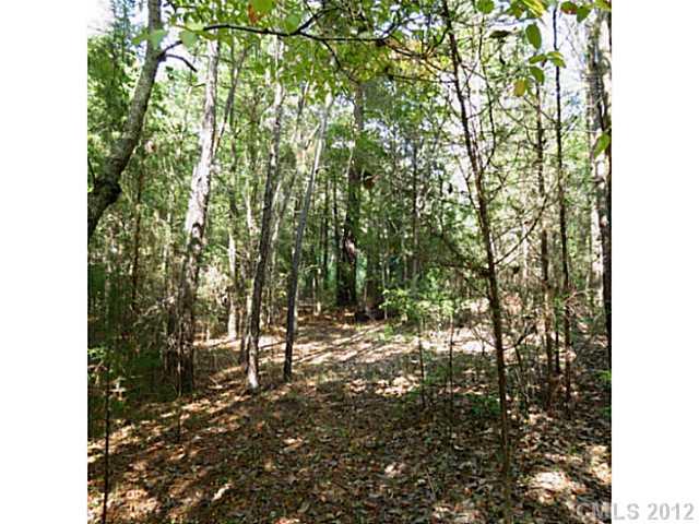 4.8-ac Sutton Spring Road York, SC 29745 - Photo 14 of 14