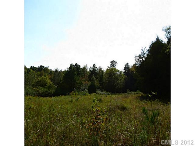 4.8-ac Sutton Spring Road York, SC 29745 - Photo 3 of 14