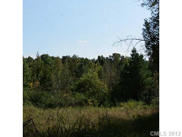 4.8-ac Sutton Spring Road York, SC 29745 - Photo 4 of 14