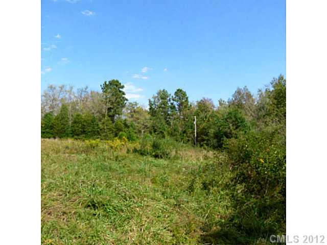 4.8-ac Sutton Spring Road York, SC 29745 - Photo 5 of 14