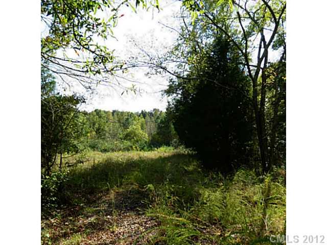 4.8-ac Sutton Spring Road York, SC 29745 - Photo 6 of 14