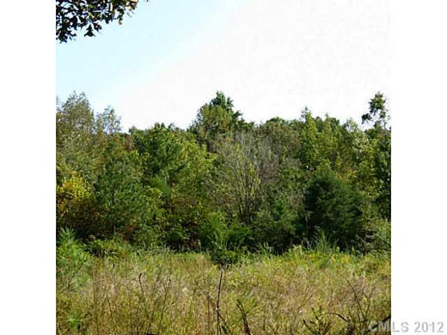 4.8-ac Sutton Spring Road York, SC 29745 - Photo 8 of 14