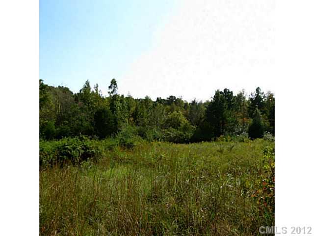 4.8-ac Sutton Spring Road York, SC 29745 - Photo 10 of 14