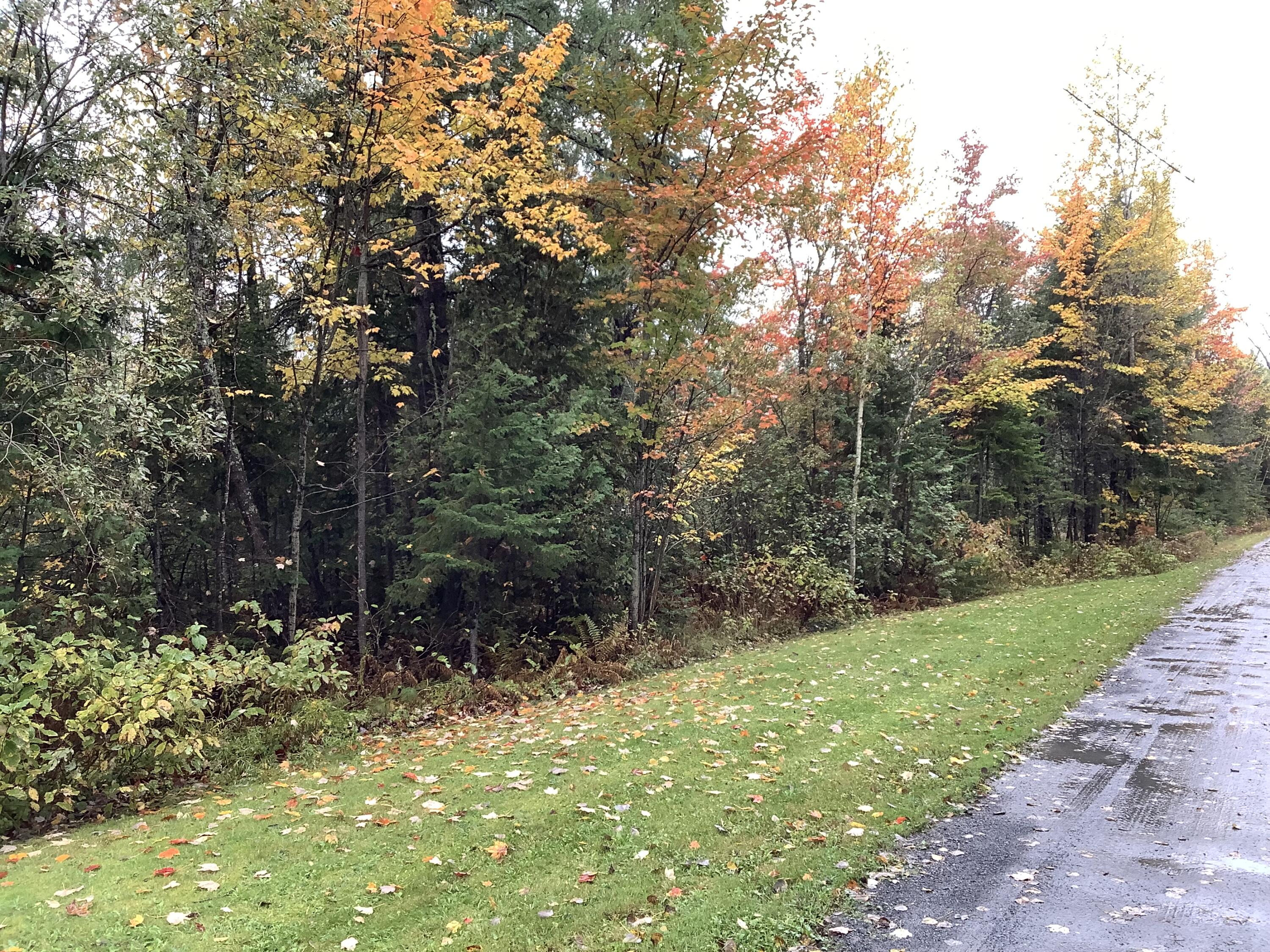 0 Martin Road Sinclair, ME 04779 - Photo 5 of 7 IMG_9554