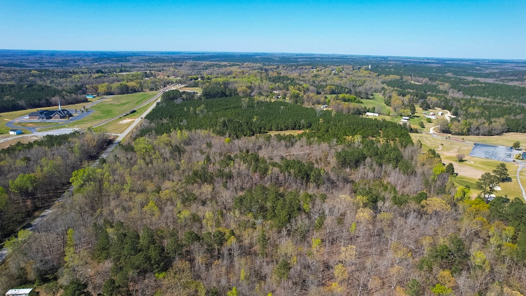 0 Harris Springs Road Waterloo, SC 29384 - Photo 5 of 5
