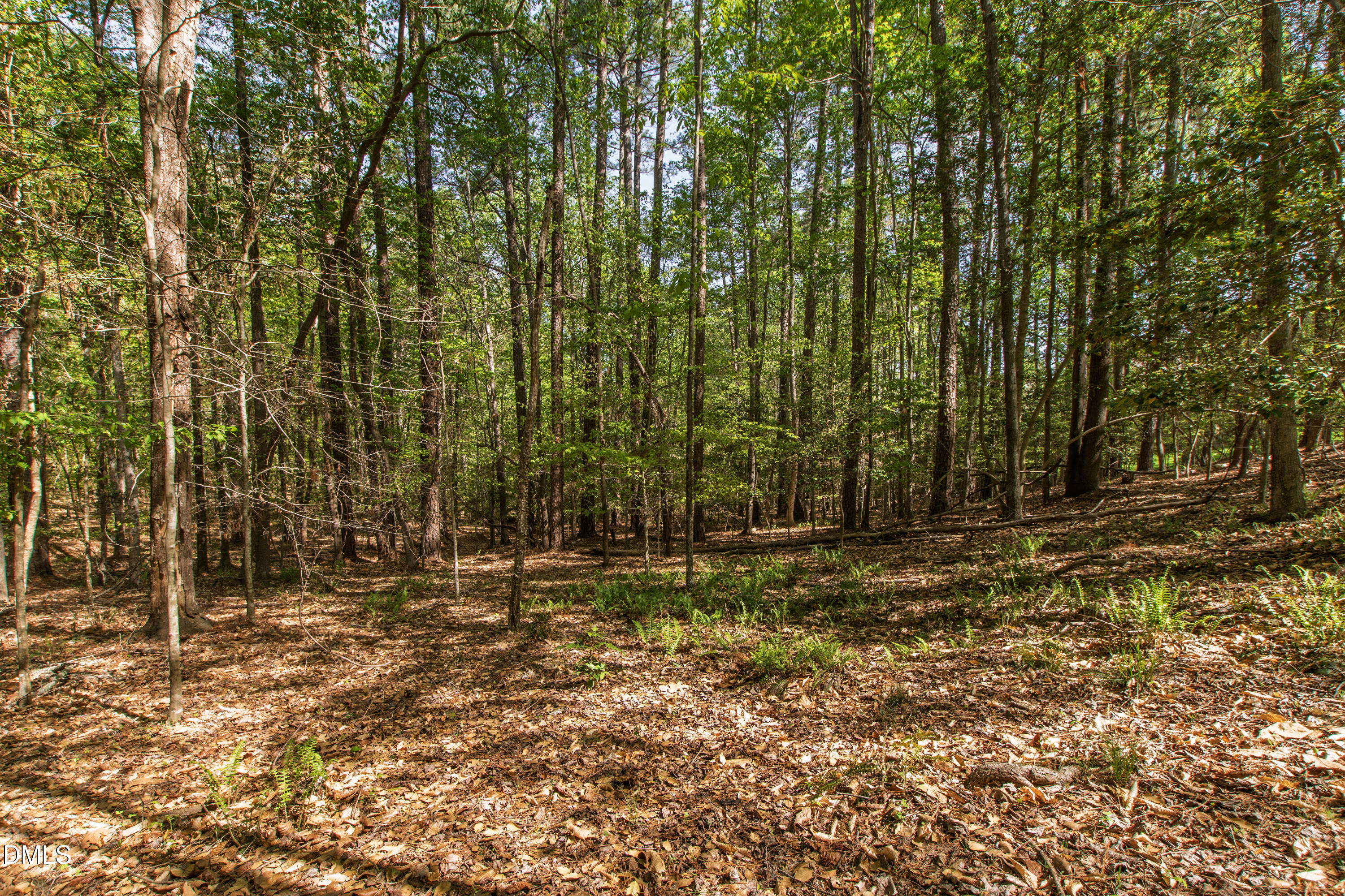 4933 Cremshaw Court Raleigh, NC 27614 - Photo 80 of 88 Cremshaw (48)