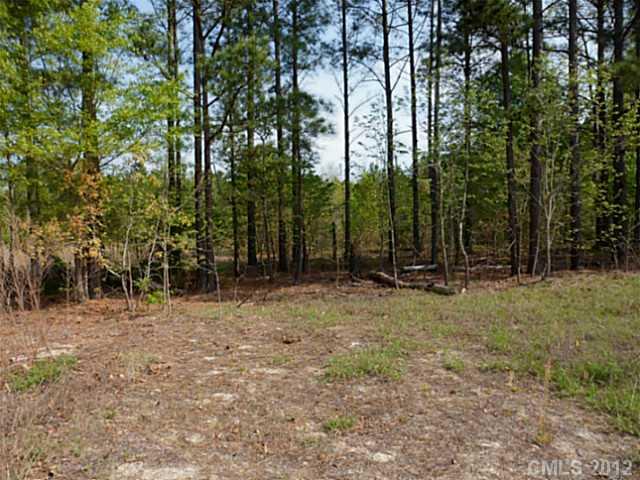 3338 McCaskill Road Bethune, SC 29009 - Photo 14 of 15 Gallery Image 14