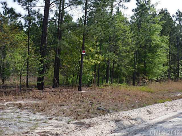 3338 McCaskill Road Bethune, SC 29009 - Photo 8 of 15 Gallery Image 8