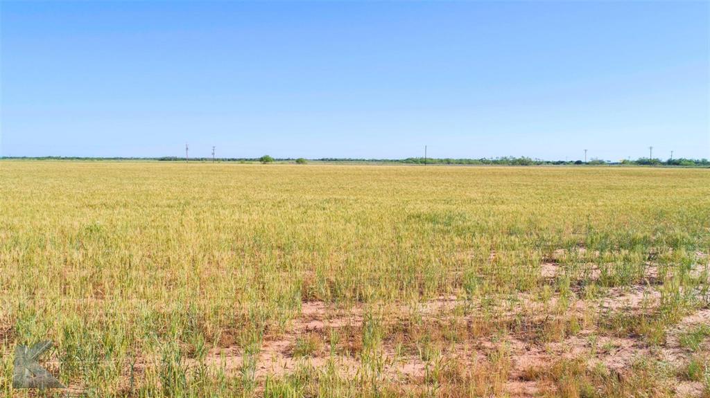 9533 Fm 617 Rochester, TX 79544 - Photo 18 of 25