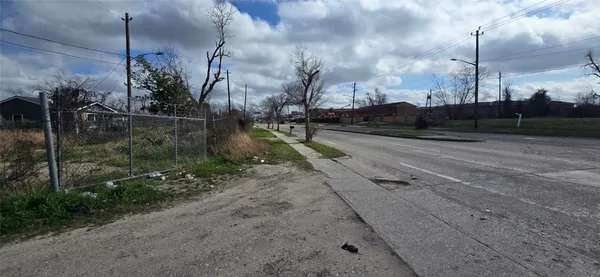 a view of a yard