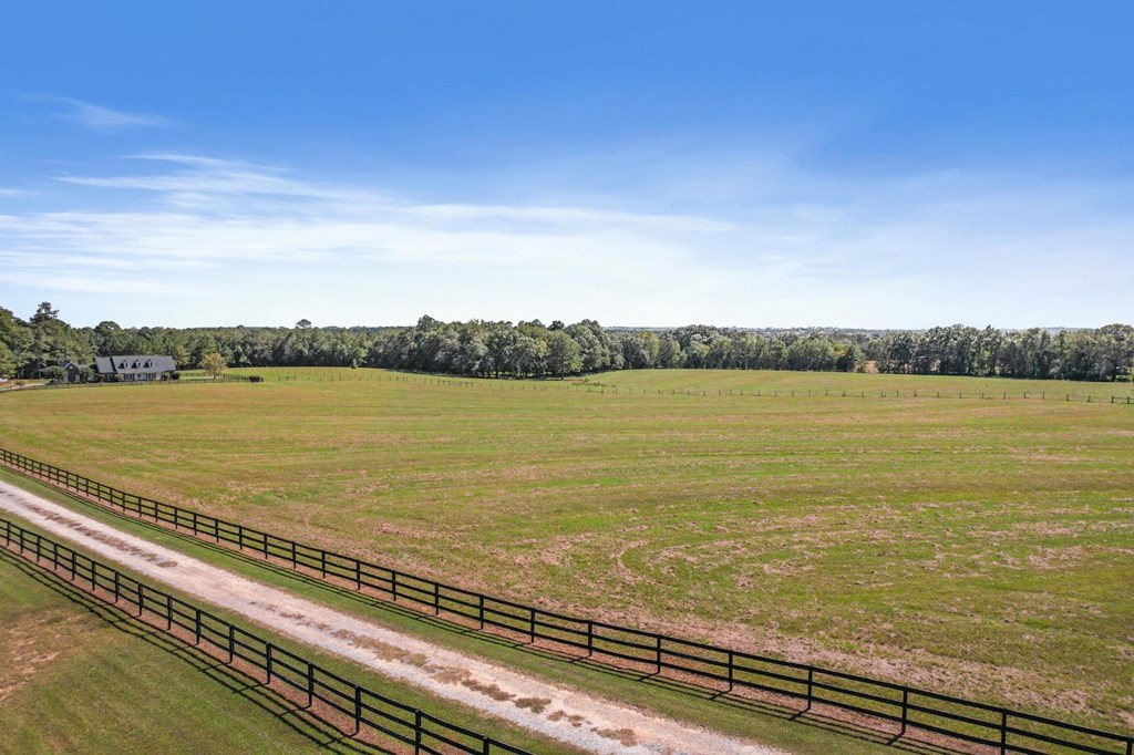 1690 Benton Store Road Columbia, AL 36319 - Photo 41 of 46
