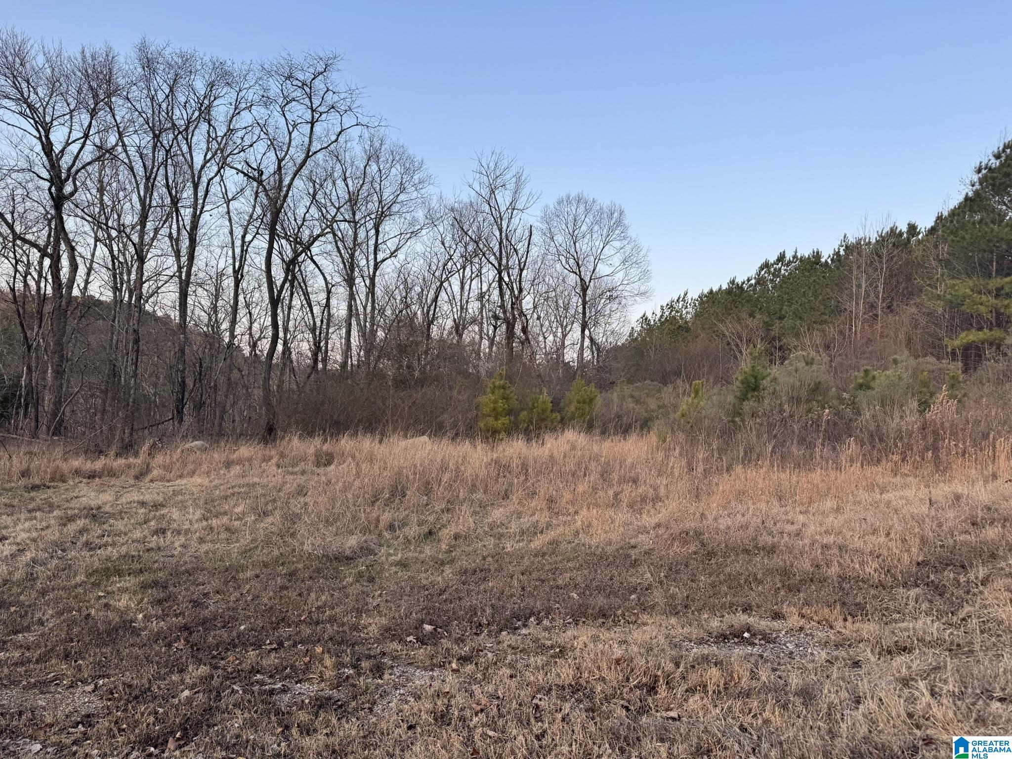 868 Hoover Road Quinton, AL 35130 - Photo 2 of 3