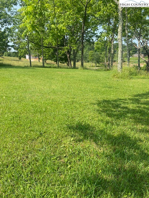 23 Millards Way Sparta, NC 28675 - Photo 31 of 46 a big yard with lots of green space and trees