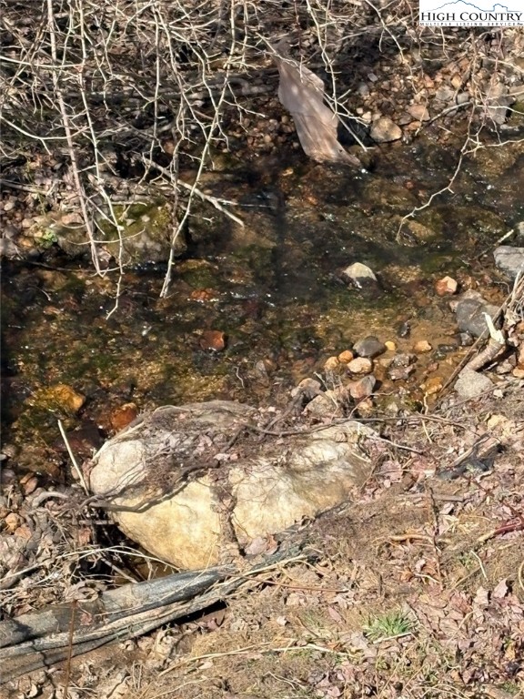 23 Millards Way Sparta, NC 28675 - Photo 5 of 46 a picture of a tree