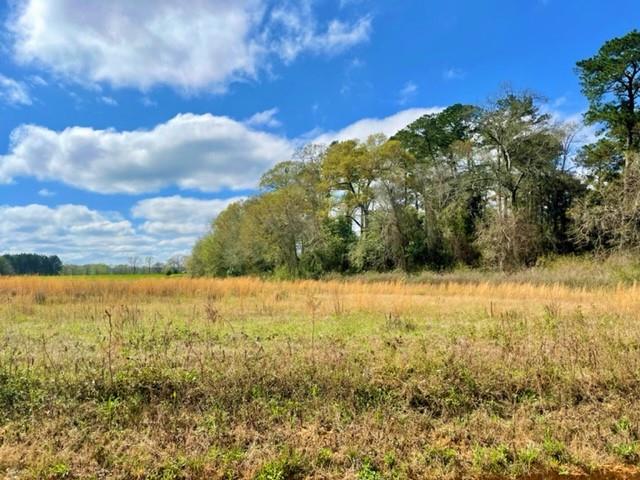 0 Knowles Road Headland, AL 36345 - Photo 1 of 10