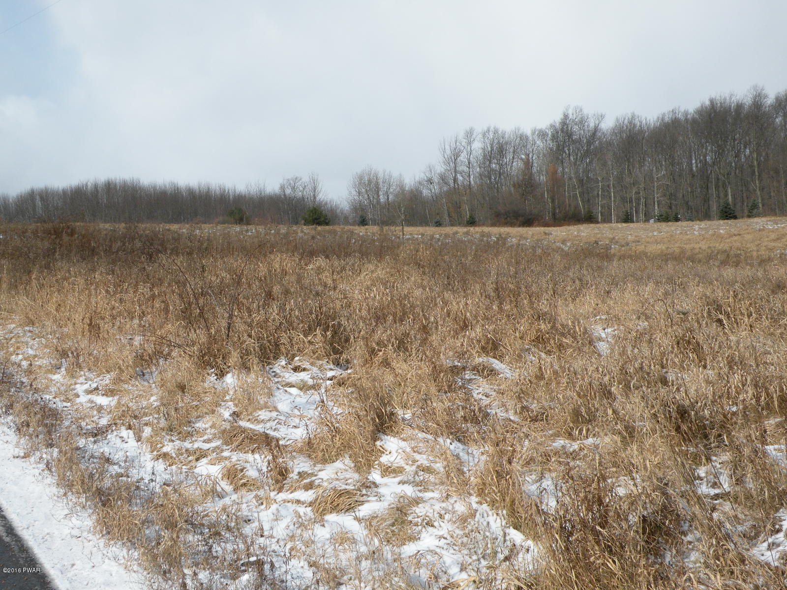 Lot 1 Butternut Road Sterling, PA 18463 - Photo 4 of 7