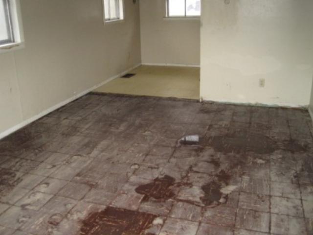 326 South Edgehill Road Indianapolis, IN 46241 - Photo 4 of 5
