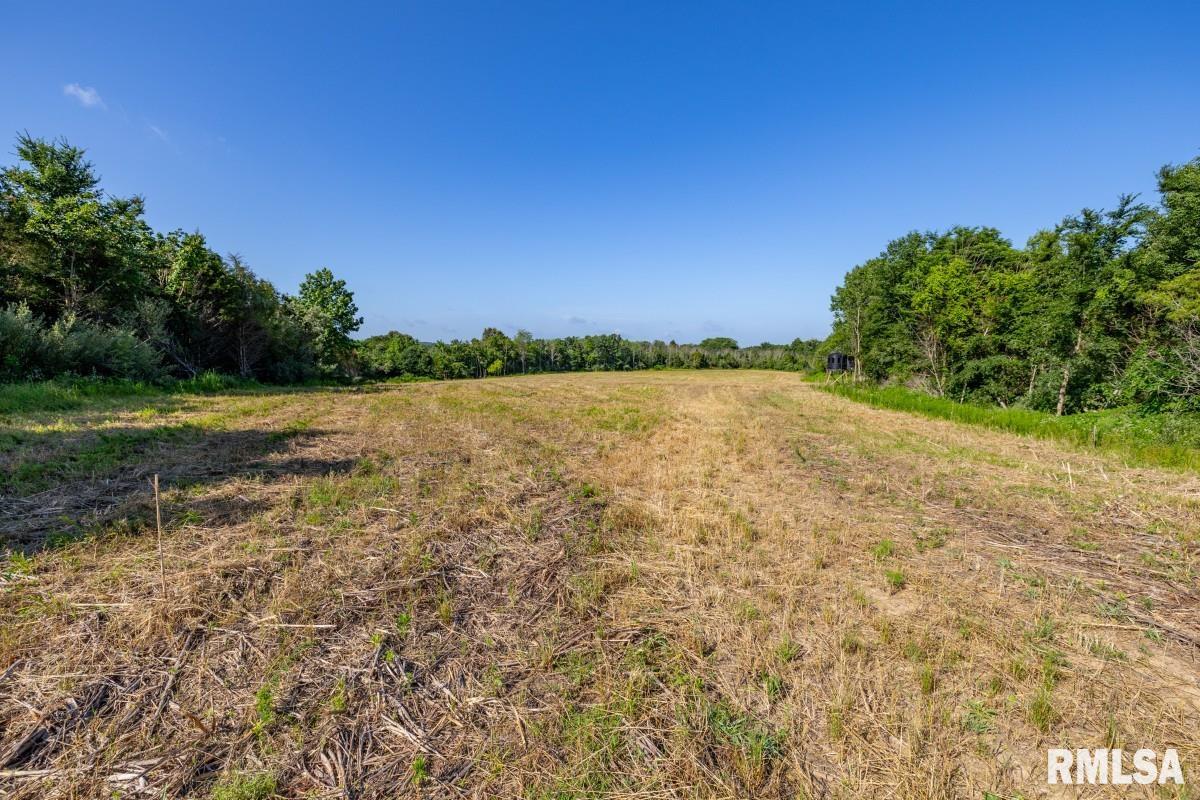 0 Tom Dick Hill Road Stonefort, IL 62987 - Photo 13 of 62