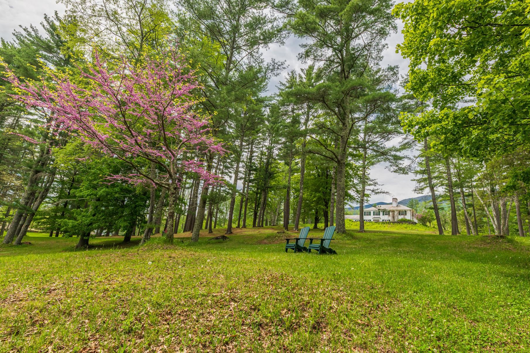 1613 W Road Manchester, VT 05255 - Photo 4 of 29