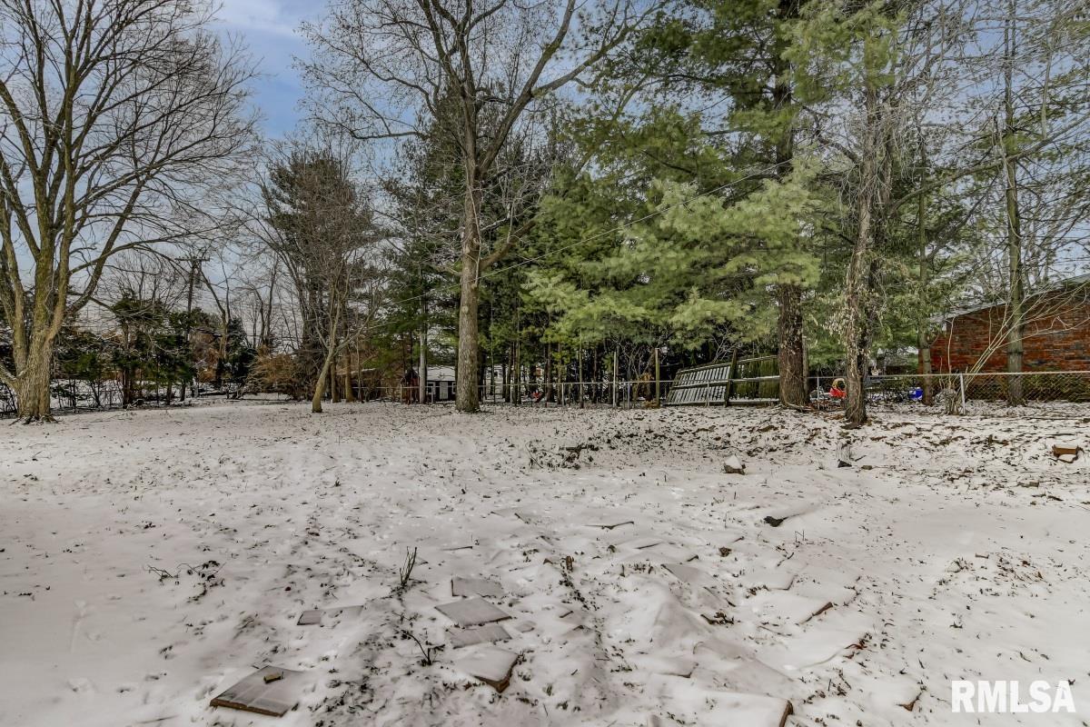610 Kenyon Drive Springfield, IL 62704 - Photo 39 of 49 Gallery Image 39