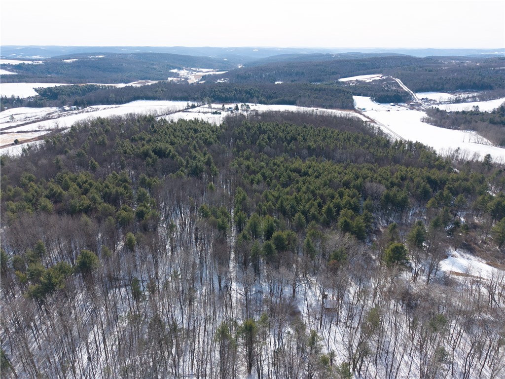 356 Acme Road Barton, NY 14859 - Photo 41 of 47