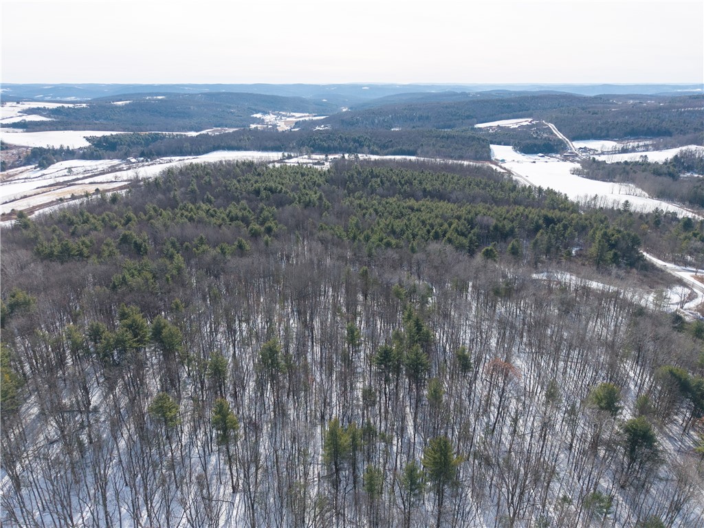 356 Acme Road Barton, NY 14859 - Photo 9 of 47