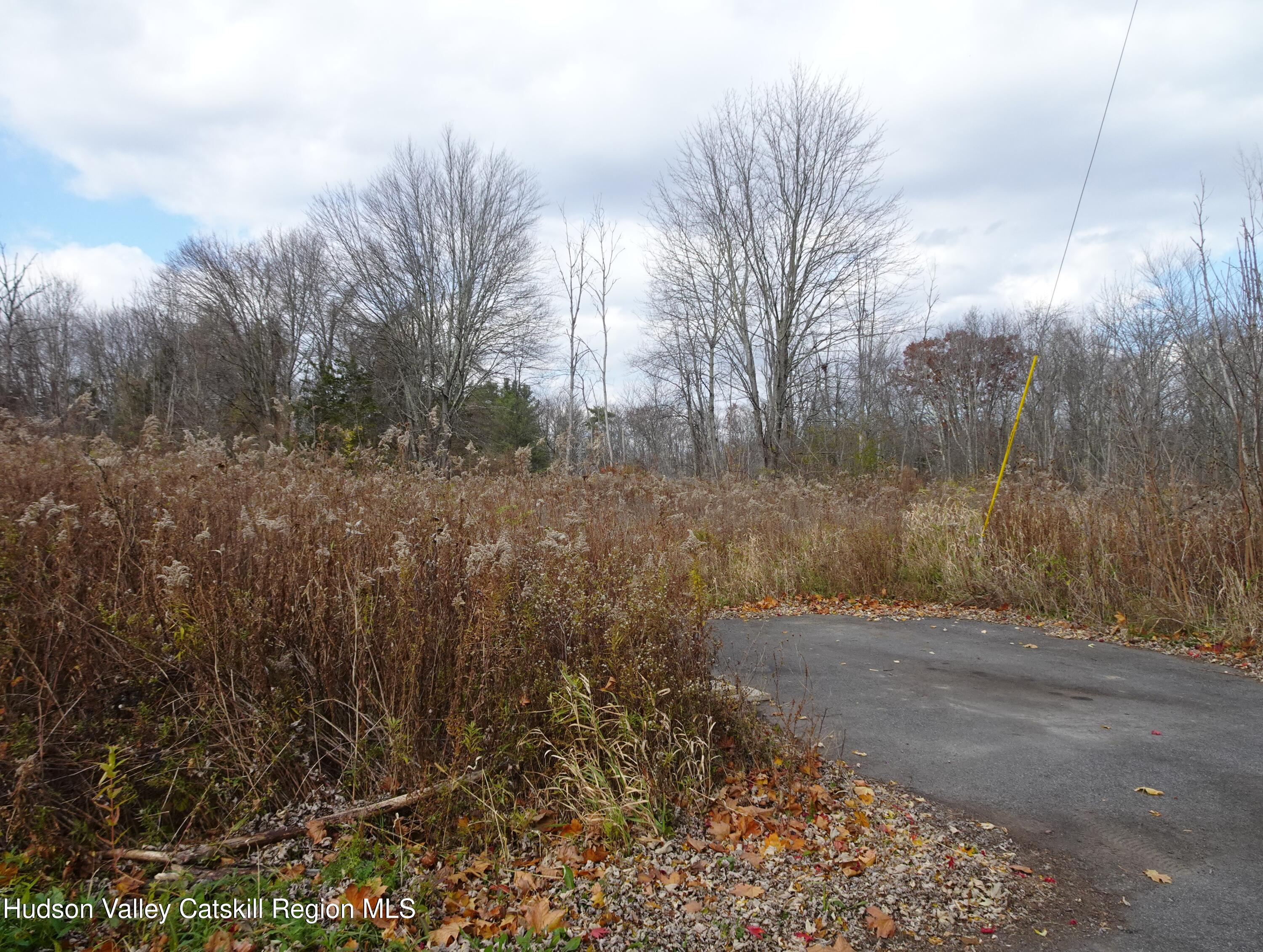 0 Willmon Road Hudson, NY 12534 - Photo 3 of 12 DSC03714