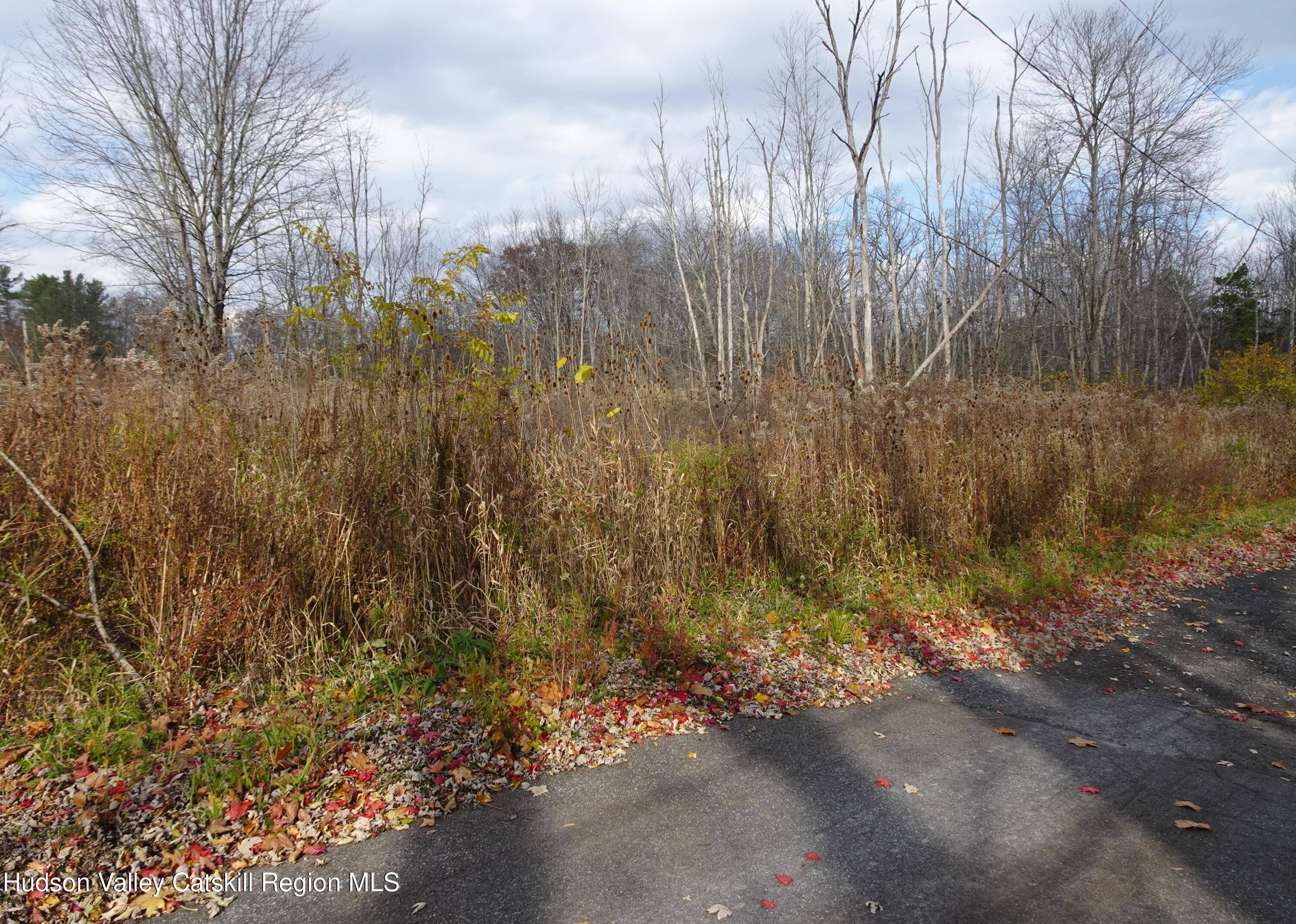 0 Willmon Road Hudson, NY 12534 - Photo 4 of 12 DSC03716