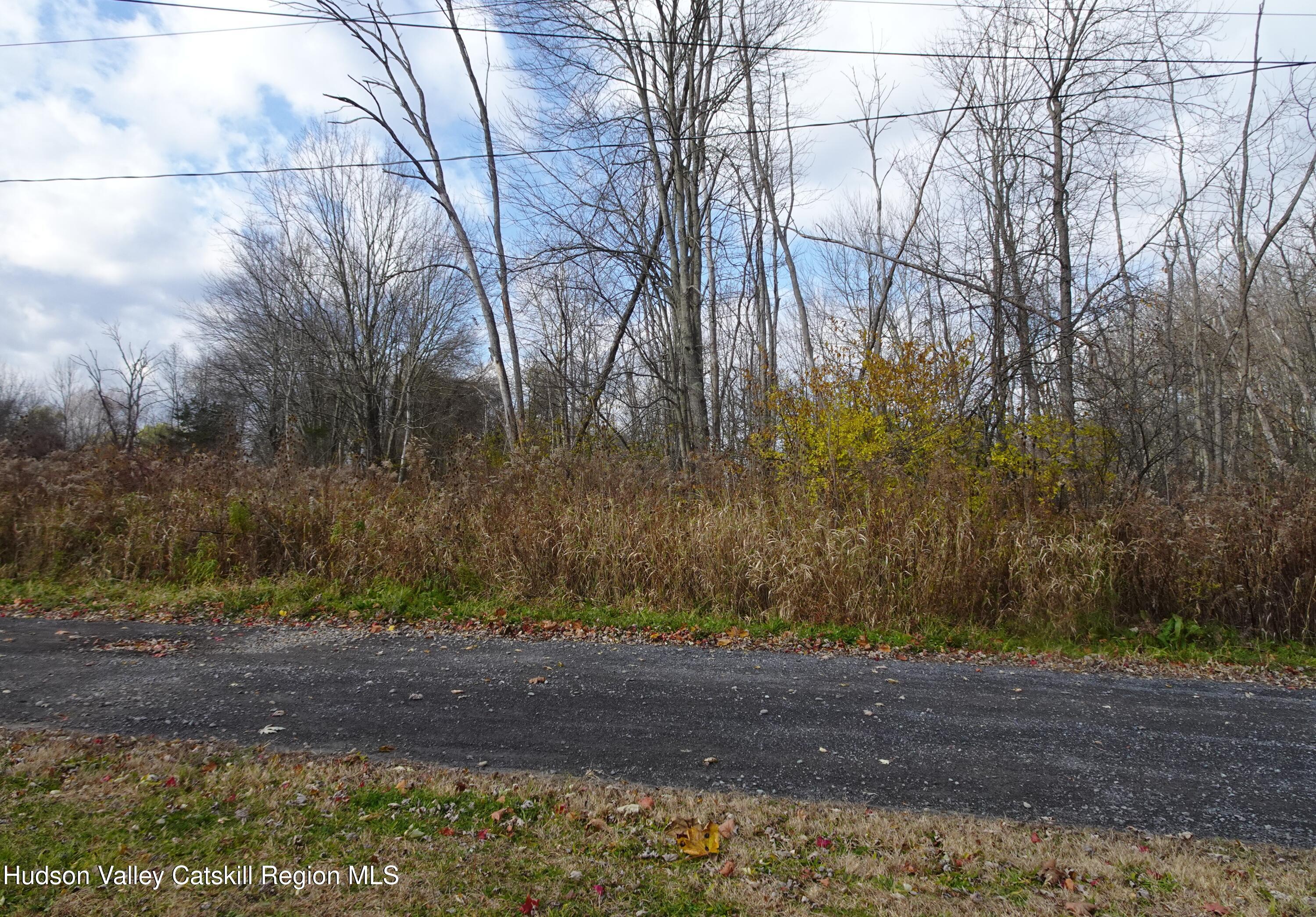 0 Willmon Road Hudson, NY 12534 - Photo 5 of 12 DSC03717