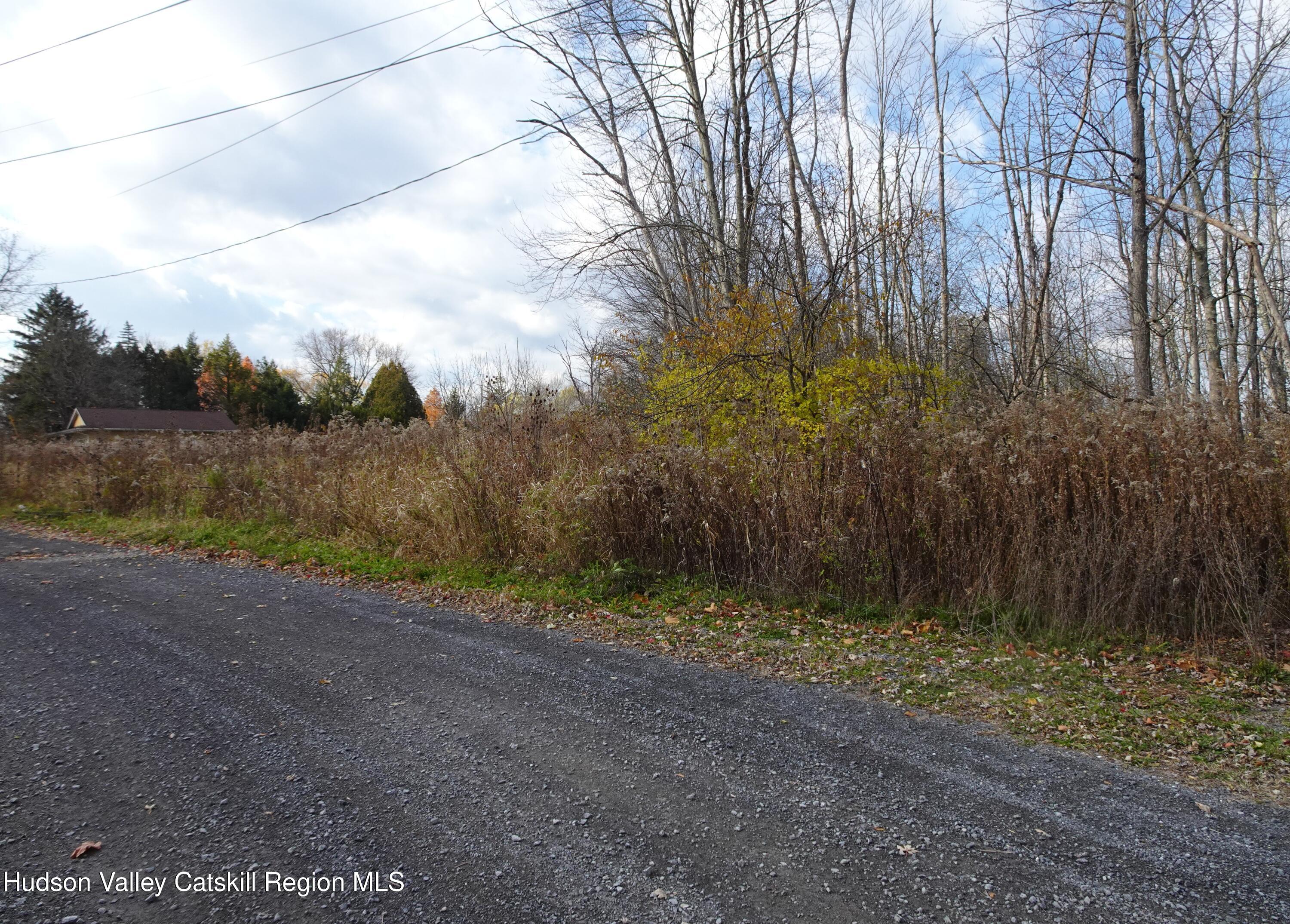 0 Willmon Road Hudson, NY 12534 - Photo 6 of 12 DSC03718