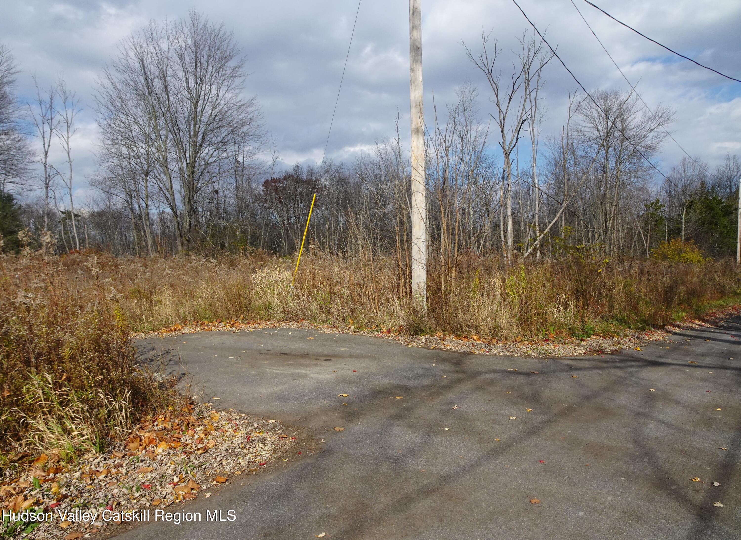 0 Willmon Road Hudson, NY 12534 - Photo 7 of 12 DSC03719