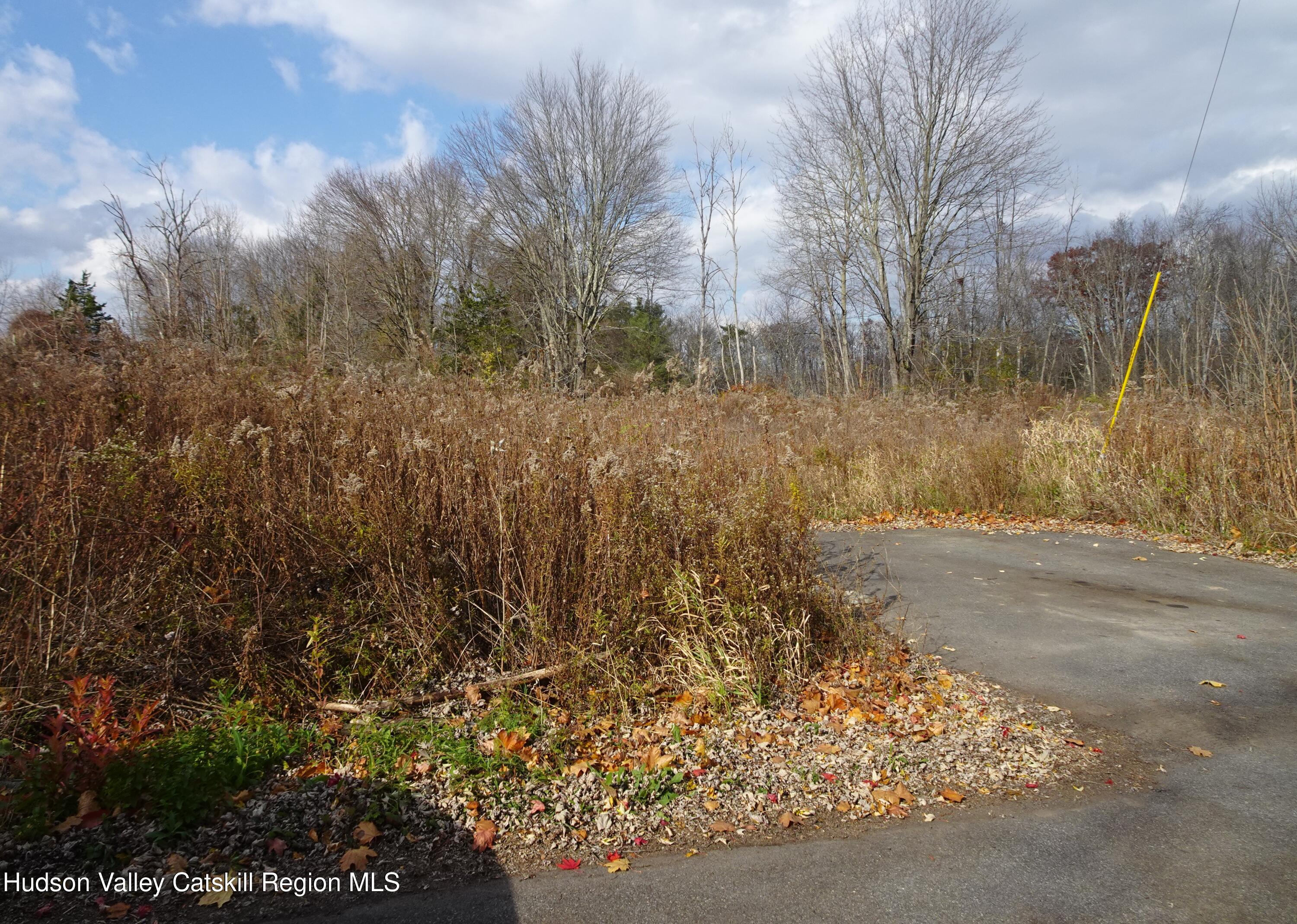 0 Willmon Road Hudson, NY 12534 - Photo 8 of 12 DSC03720