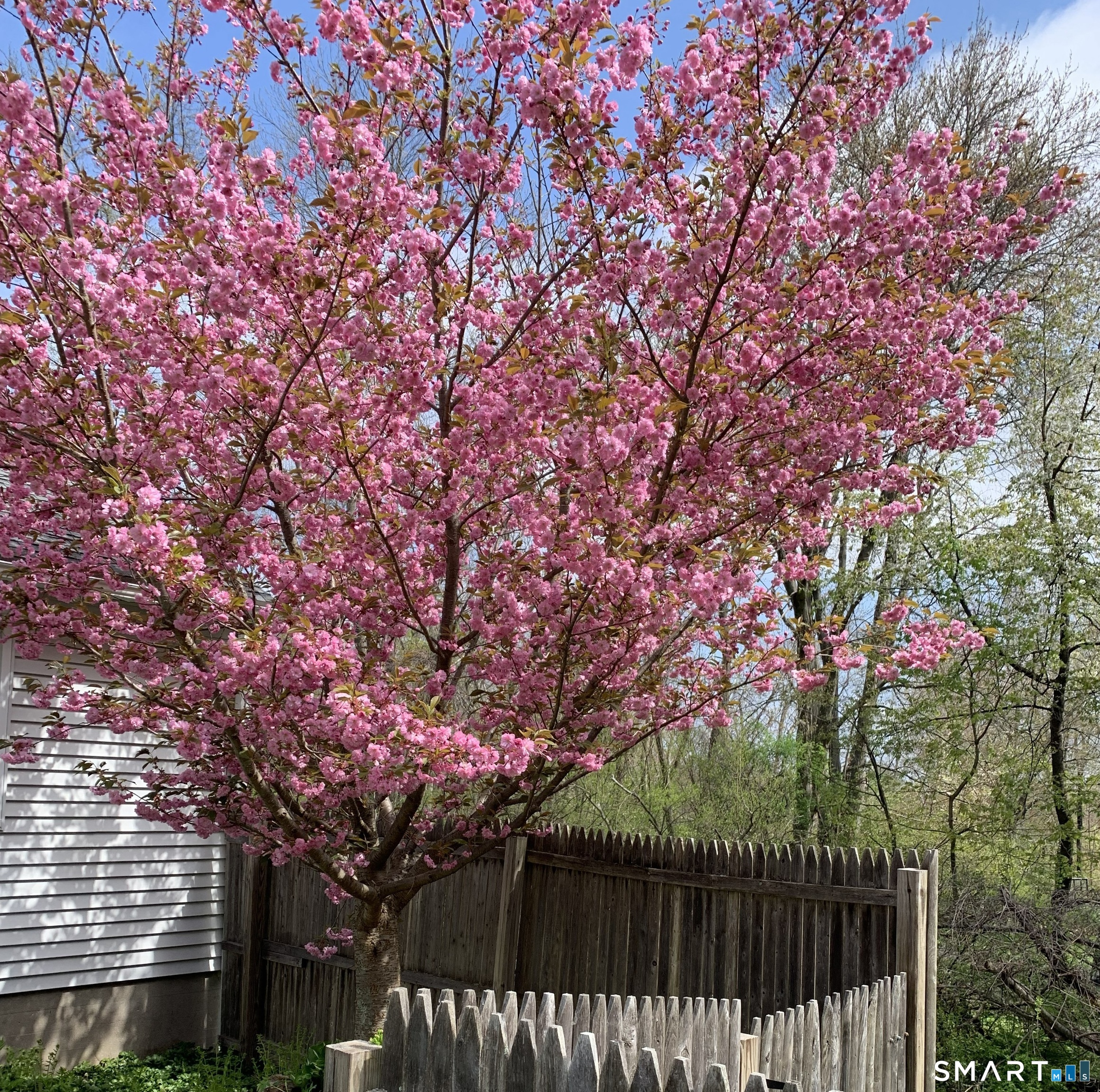 57 Hickory Hill Road Thomaston, CT 06787 - Photo 31 of 36 Landscaping in bloom