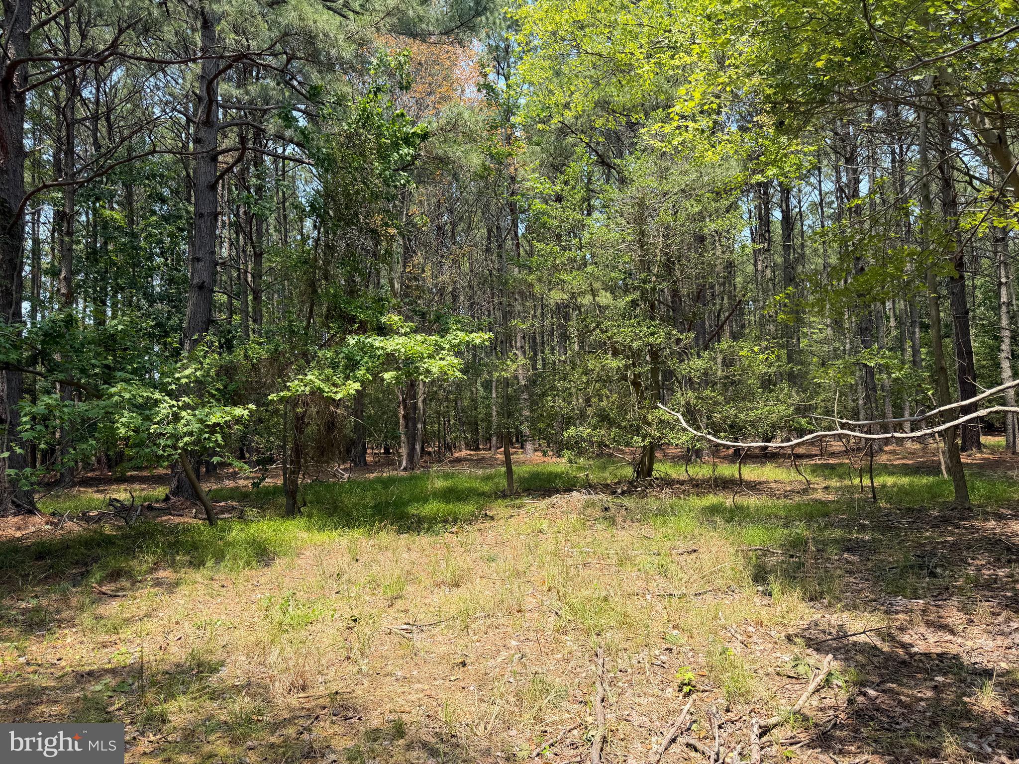 0 Hooper Neck Road Madison, MD 21648 - Photo 110 of 129