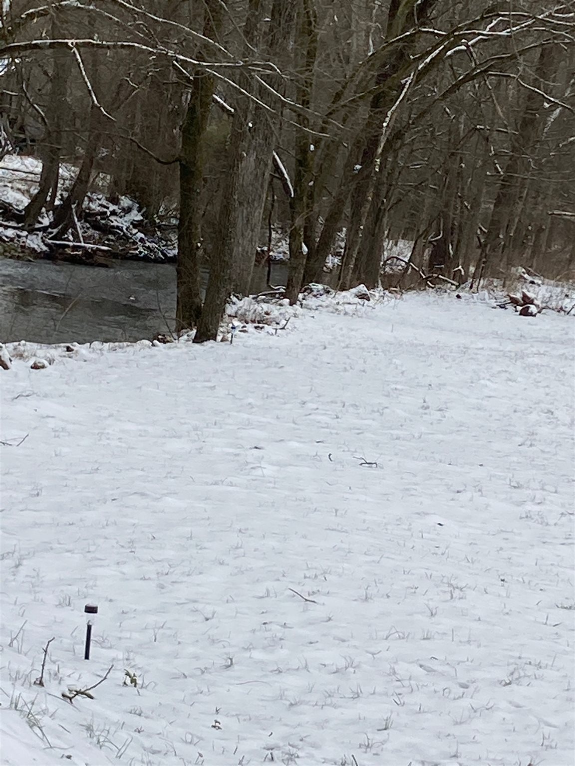 Ground Hog Road Heltonville, IN 47436 - Photo 1 of 1
