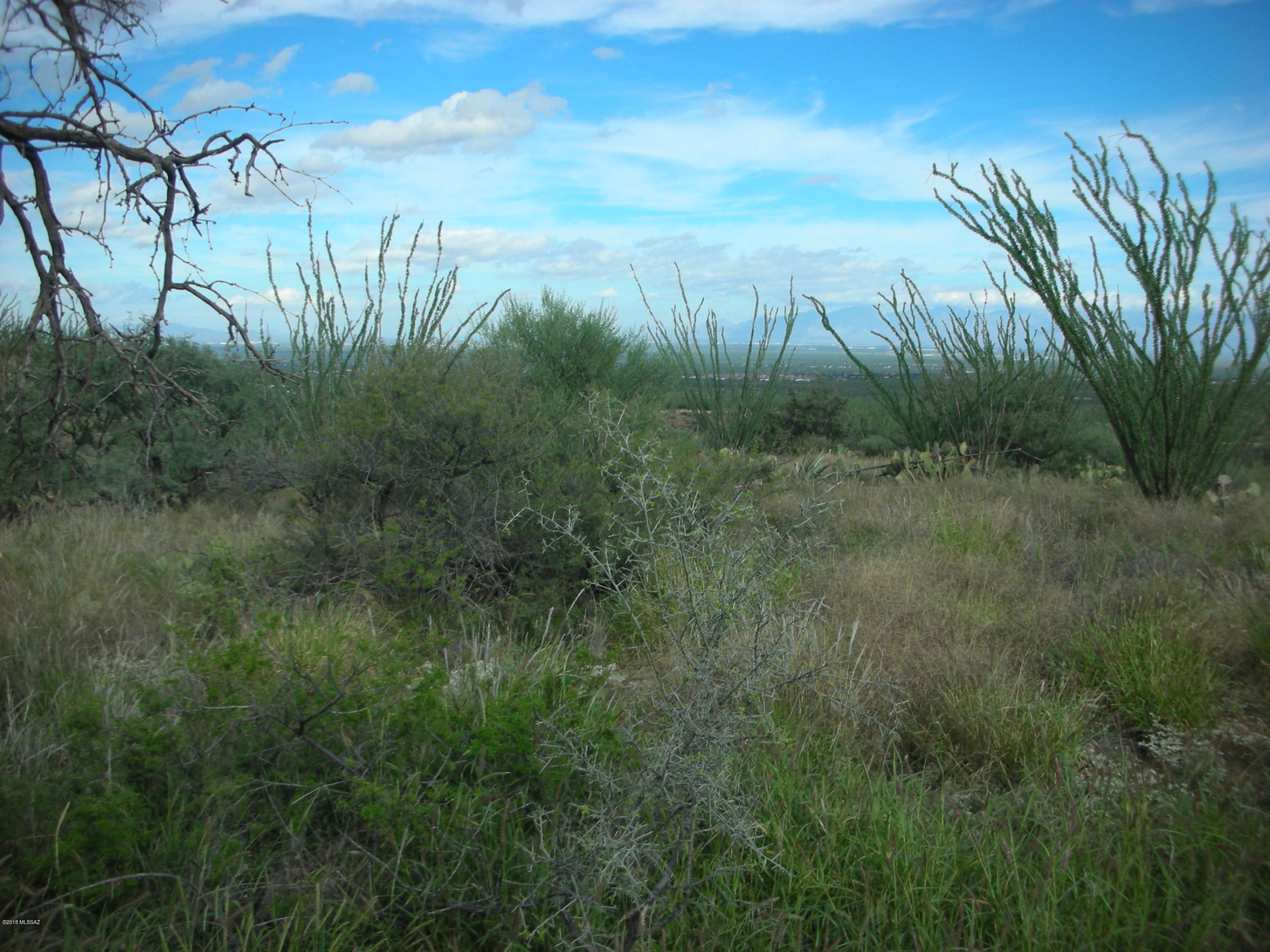 10600 East Ocotillo Rim Trail Vail, AZ 85641 - Photo 23 of 24 Gallery Image 23