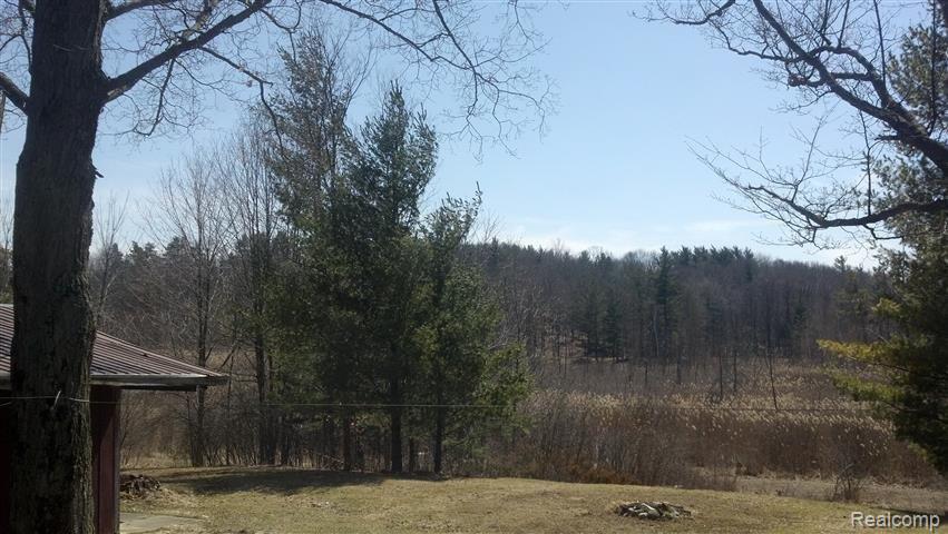 508 White Road Columbiaville, MI 48421 - Photo 25 of 25 yard (Small).jpg
