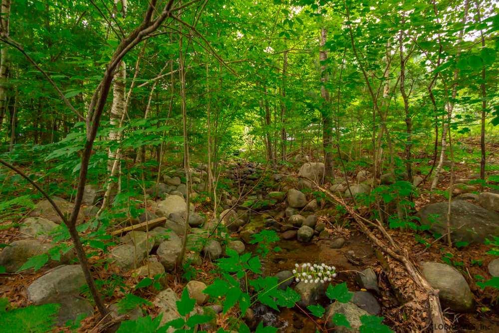 14 Barney Road Greenfield, NY 12850 - Photo 26 of 34 Photo 26