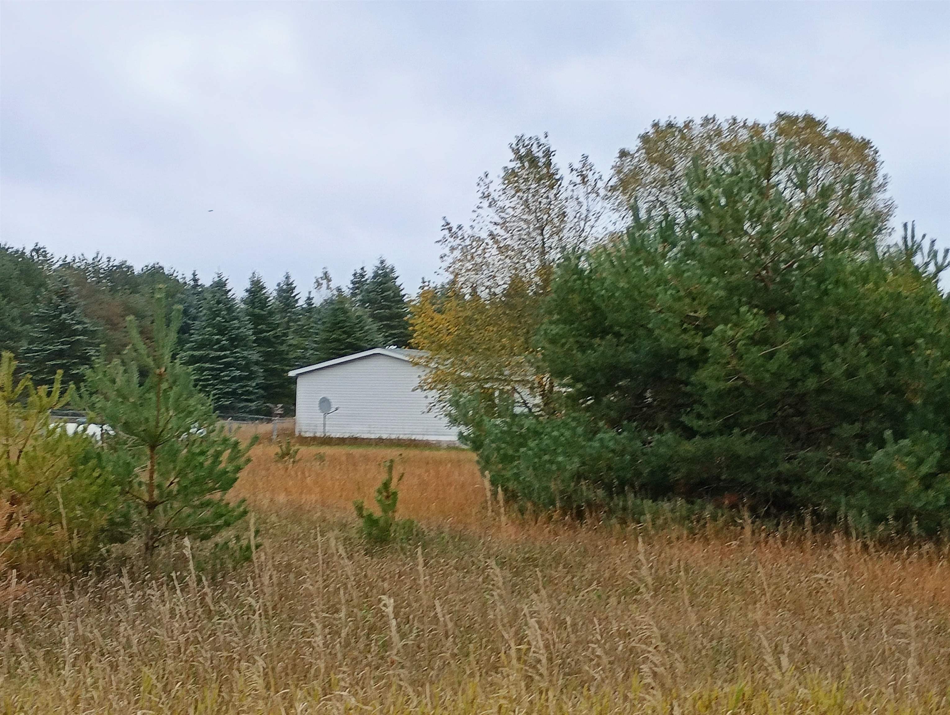 17538 Ridgeway Drive Thompsonville, MI 49683 - Photo 18 of 21 Gallery Image 18