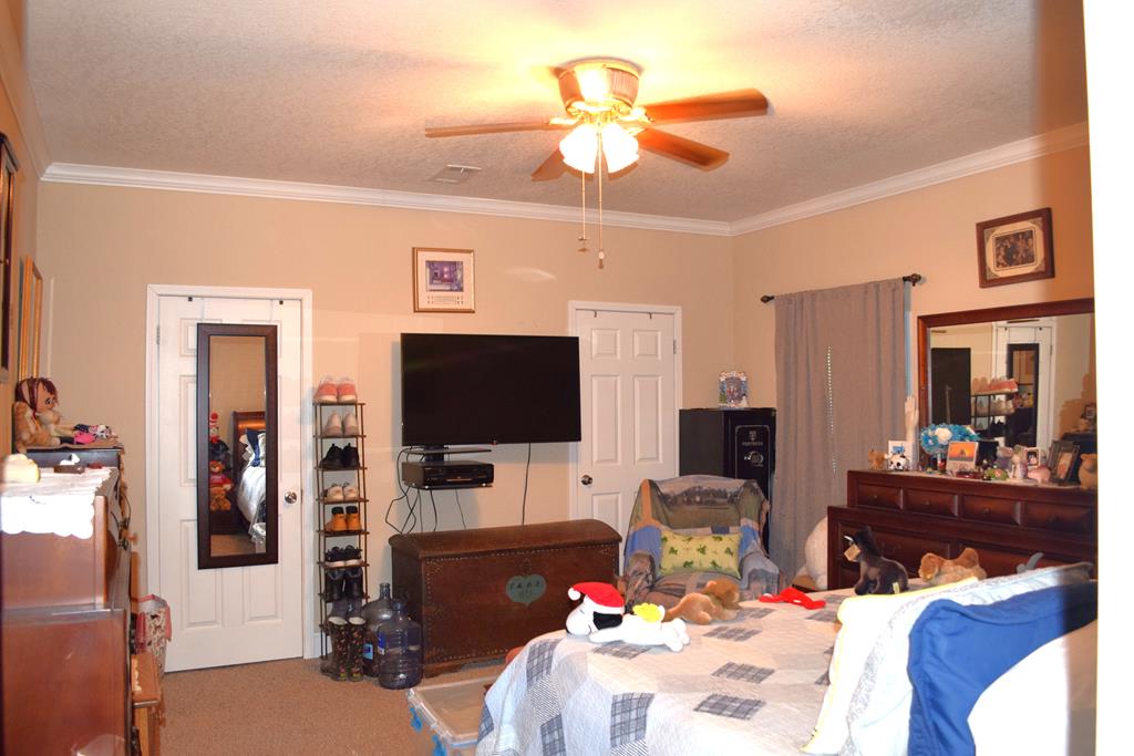 7252 County Road 49 Slocomb, AL 36375 - Photo 5 of 75