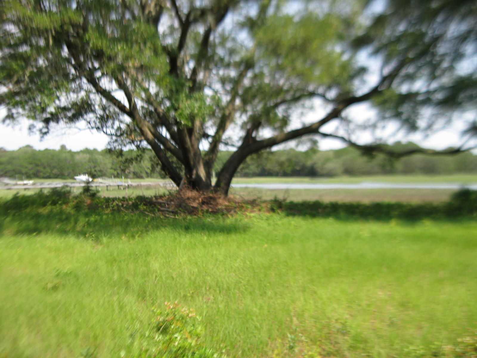 1679 Back Creek Road Charleston, SC 29412 - Photo 2 of 13 024