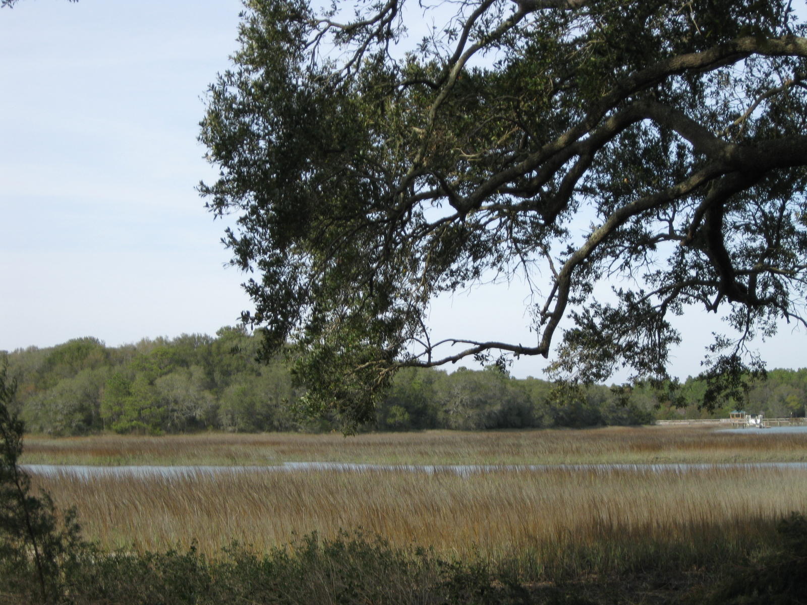 1679 Back Creek Road Charleston, SC 29412 - Photo 11 of 13 007