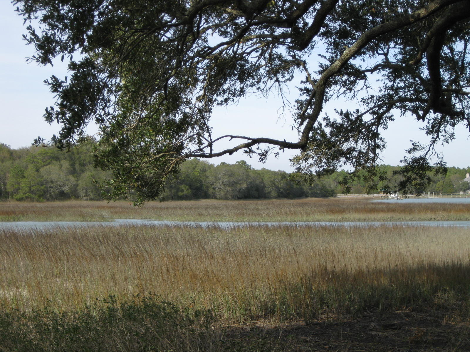 1679 Back Creek Road Charleston, SC 29412 - Photo 12 of 13 006
