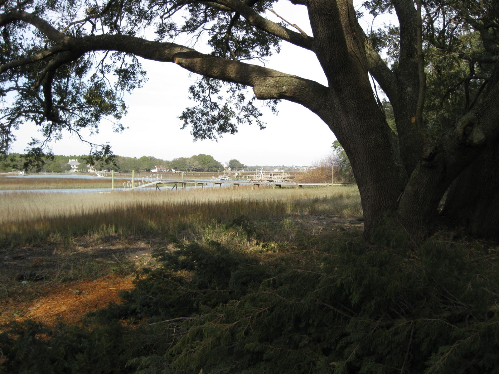 1679 Back Creek Road Charleston, SC 29412 - Photo 13 of 13 005