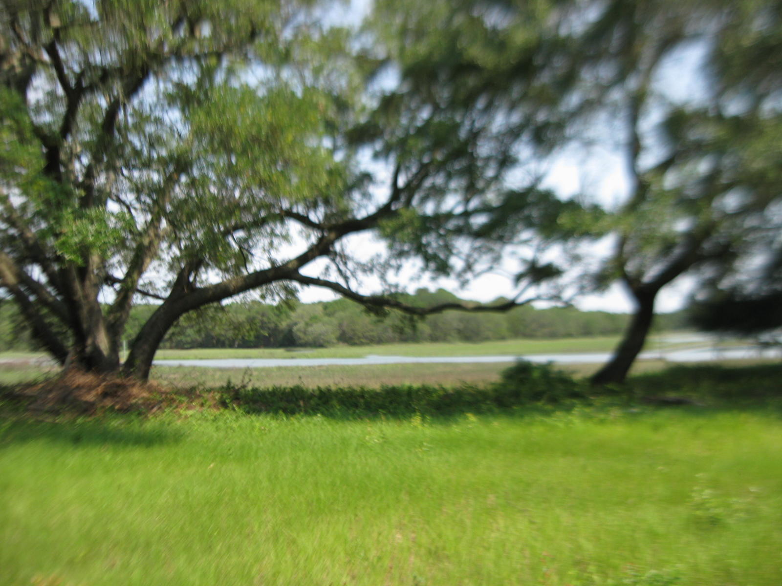 1679 Back Creek Road Charleston, SC 29412 - Photo 3 of 13 023