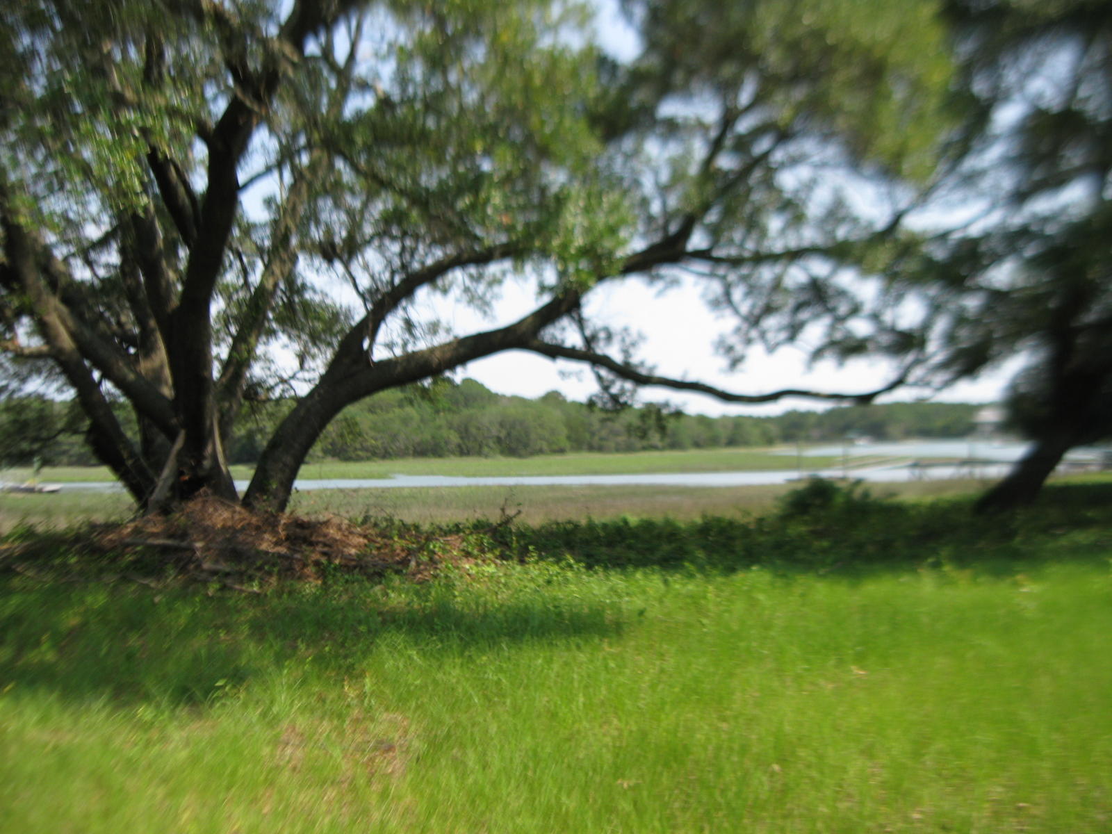 1679 Back Creek Road Charleston, SC 29412 - Photo 4 of 13 022