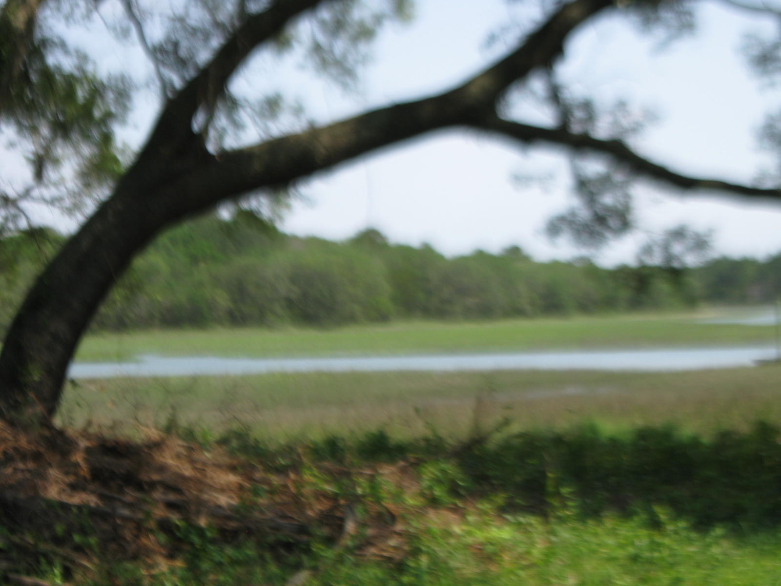 1679 Back Creek Road Charleston, SC 29412 - Photo 5 of 13 021